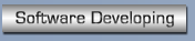 Software Developing